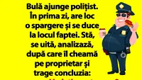 BANC | Bulă ajunge polițist. În prima zi, are loc o spargere și se duce la locul faptei