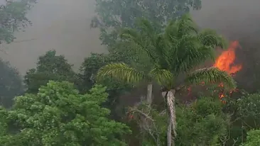 Incendii apocaliptice distrug Pădurea Amazoniană! Fumul negru se vede din spațiu