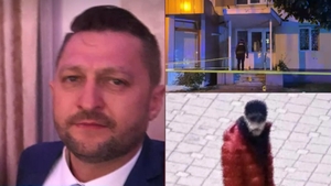 Ce arată analizele toxicologice în cazul lui Vlad Verdeș, tânărul care și-a înjunghiat mortal tatăl polițist. Martorii spuneau că e posedat!
