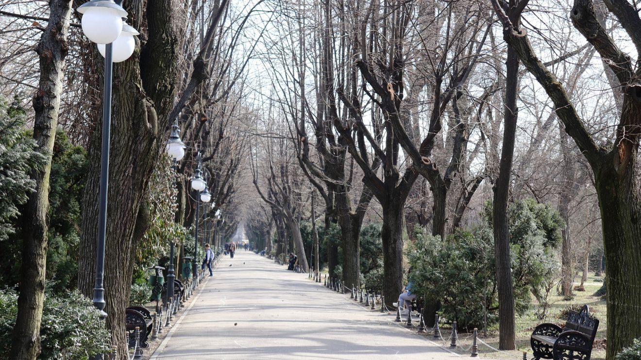 Cine să mai înțeleagă ceva din vreme? Prognoza meteo ne dă iar planurile peste cap. Ce se întâmplă din 15 mai