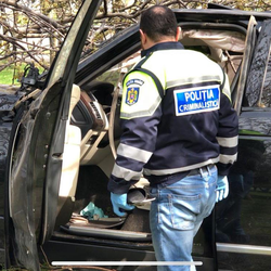 Imagine Galerie #3