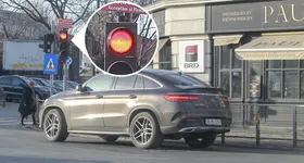 Galerie foto - poza 2