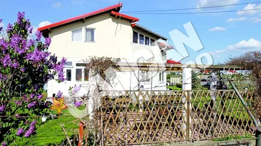 A dat paradisul din Mogosoaia pe o garsoniera. Florin Zamfirescu a fugit mancand pamantul din casnicia cu actrita Catalina Mustata