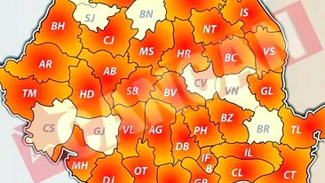 La ei nu a ajuns gripa porcina!