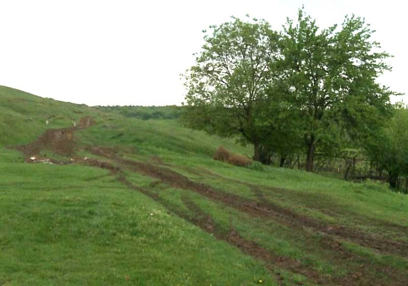 Victoraș Micula, suspectat în masacrul sângeros din Bihor