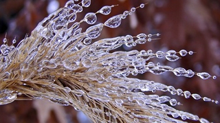 Freezing Rain - Fenomenul meteo care a inghetat ieri sudul Romaniei!