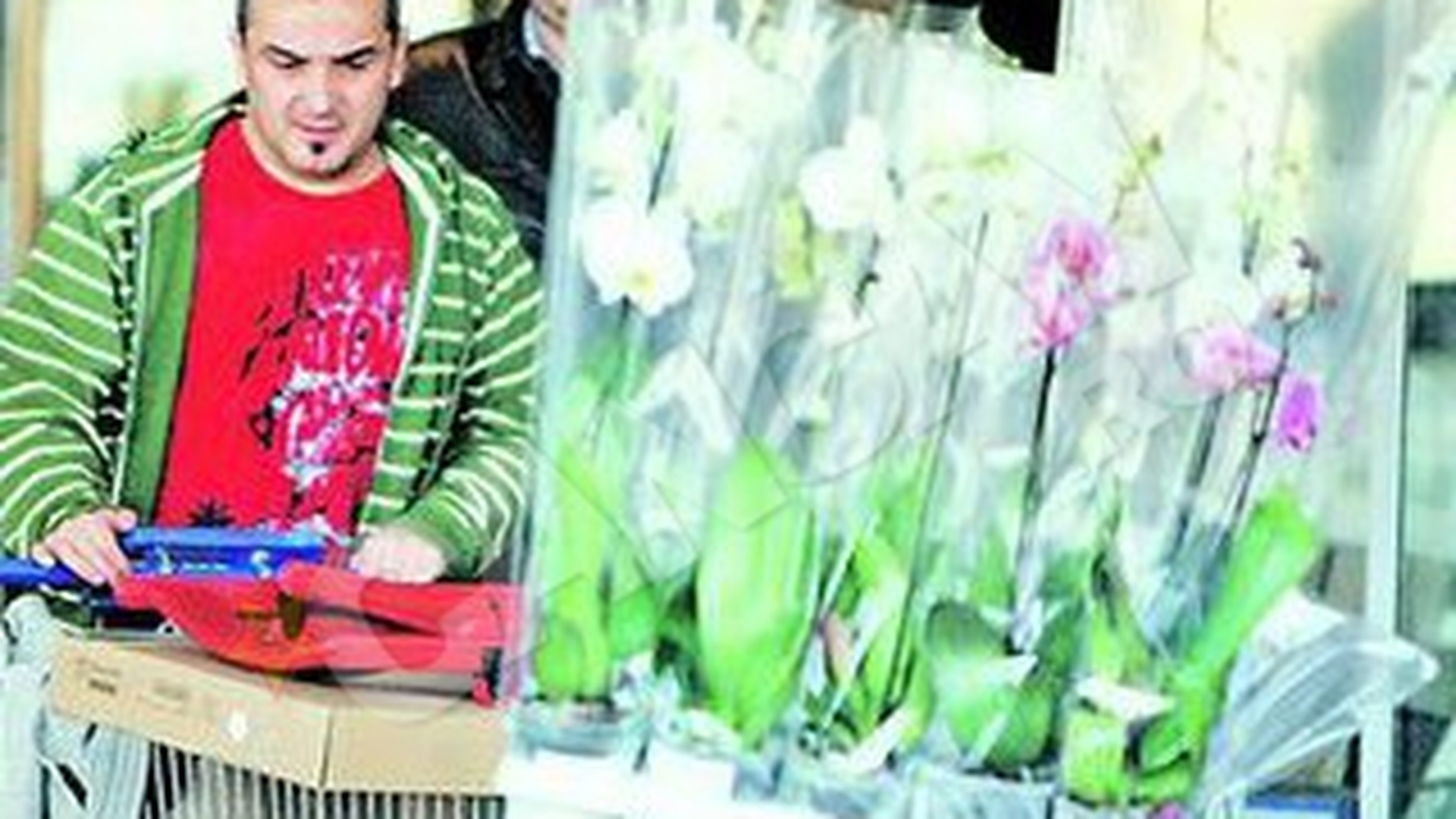 Nu se mai uita la bani de cand e tatic. Damalan renoveaza ca un barosan