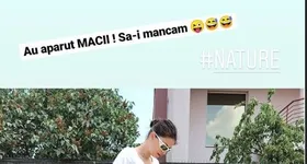 Galerie foto - poza 3