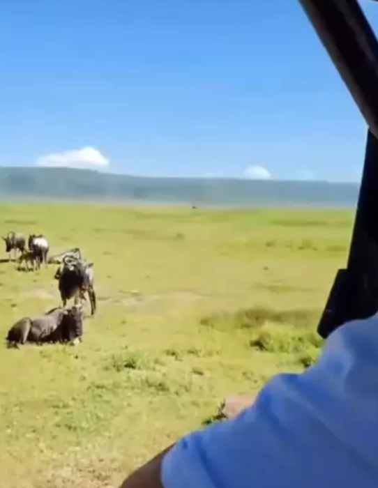 Ilinca Vandici și Andrei Neacșu, vacanță în Zanzibar/ Foto: Instagram