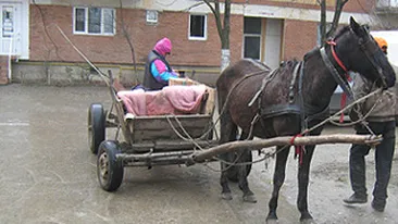 O batrana beata a bagat in spital o fetita de sase ani