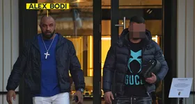 Galerie foto - poza 2