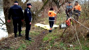 Descoperire macabră într-o pădure din Sălaj! Un bărbat a murit, după ce a fost sfâșiat de mai mulți câini