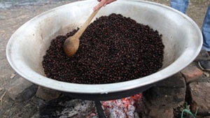 Lipsa de alimente va face omenirea ca pana in 2030 sa consume insecte