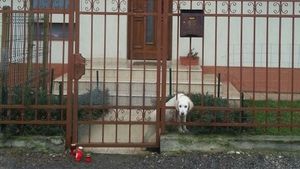 Drama nestiuta a lui Adrian Iovan! Ce s-a intamplat cu cainii lui toamna trecuta iti va rupe inima de tristete