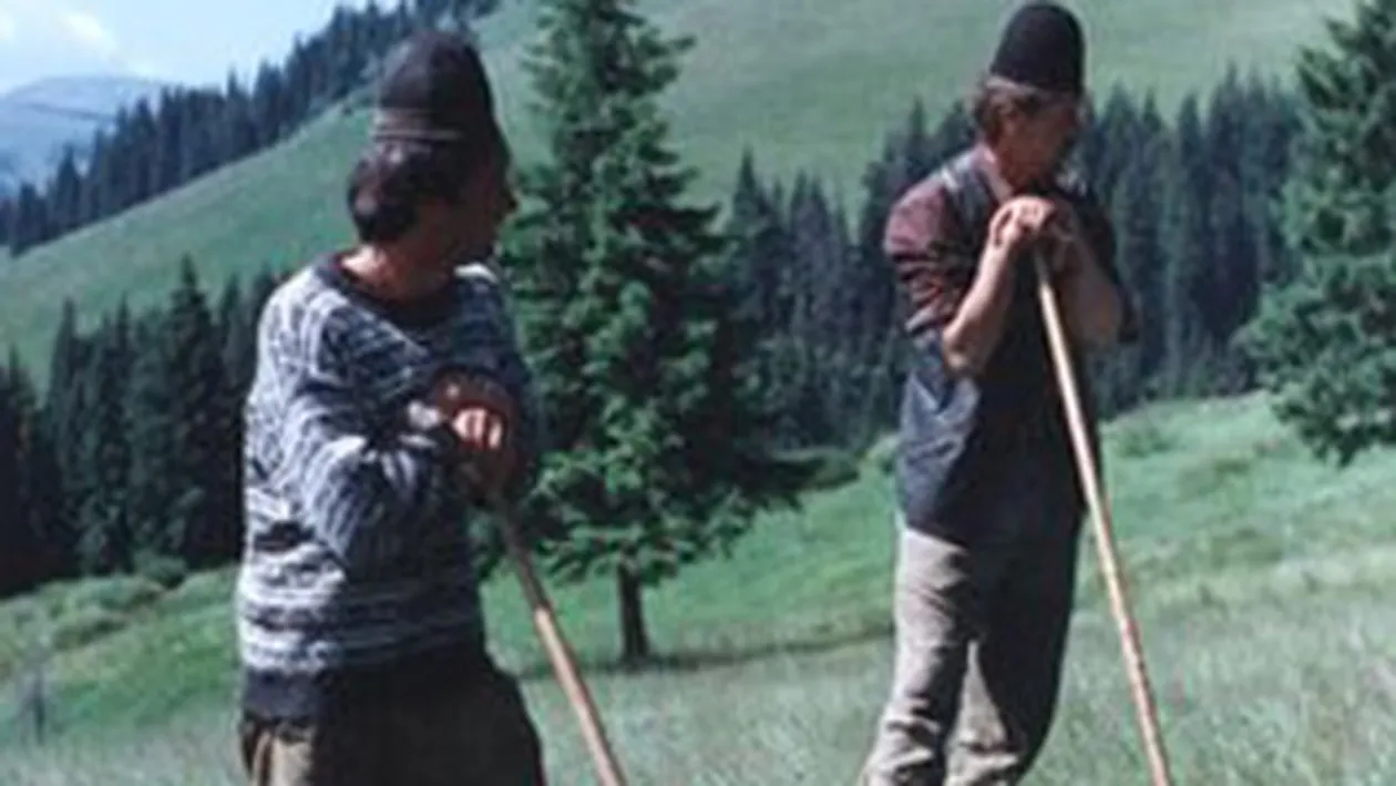 Alerta! Un cioban din Corbi, Arges, a fost diagnosticat cu Antrax!