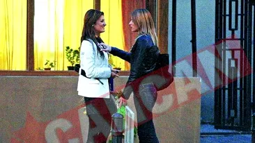 Prima petrecere a printesei lui Cristea