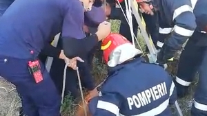 Imagini emoționante! Pompierii argeșeni au salvat o cățelușă căzută într-un puț
