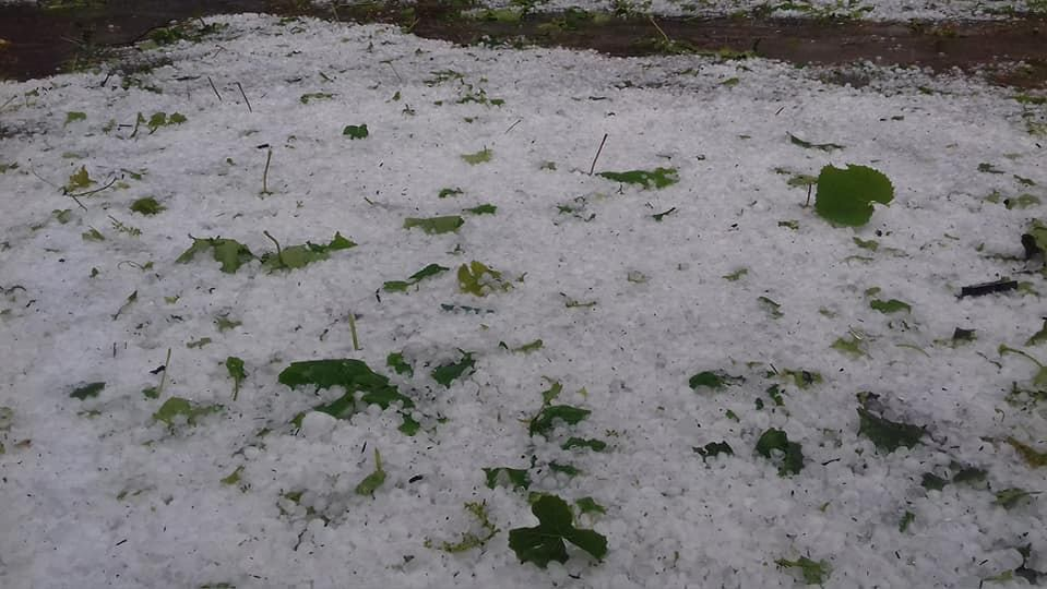 Grindina a făcut ravagii la Calafat
