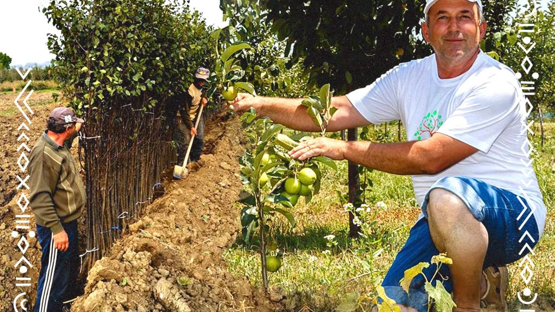 Povestea minerului care a ajuns să dețină cea mai mare pepinieră din Oltenia