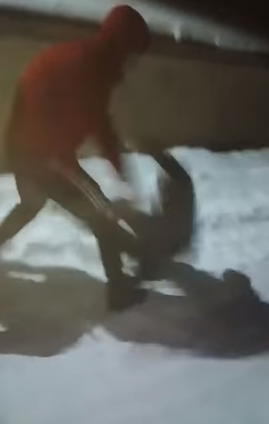 Un copil din Botoșani a fost bătut cu bestialitate de doi tineri. E fabulos ce a spus un internaut despre martorul care a filmat scenele
