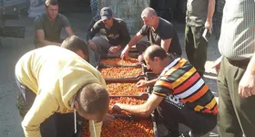 Galerie foto - poza 4