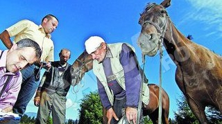 Judecata populara pe o pasune I-au batut (ca) pe hotii de cai