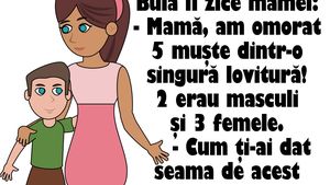 BANC | Bulă îi zice mamei: "Am omorat 5 muşte dintr-o singură lovitură! 2 erau masculi şi 3 femele"