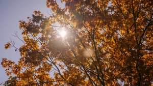 Vremea se răcește în întreaga țară! Prognoza meteo până la jumătatea lunii septembrie