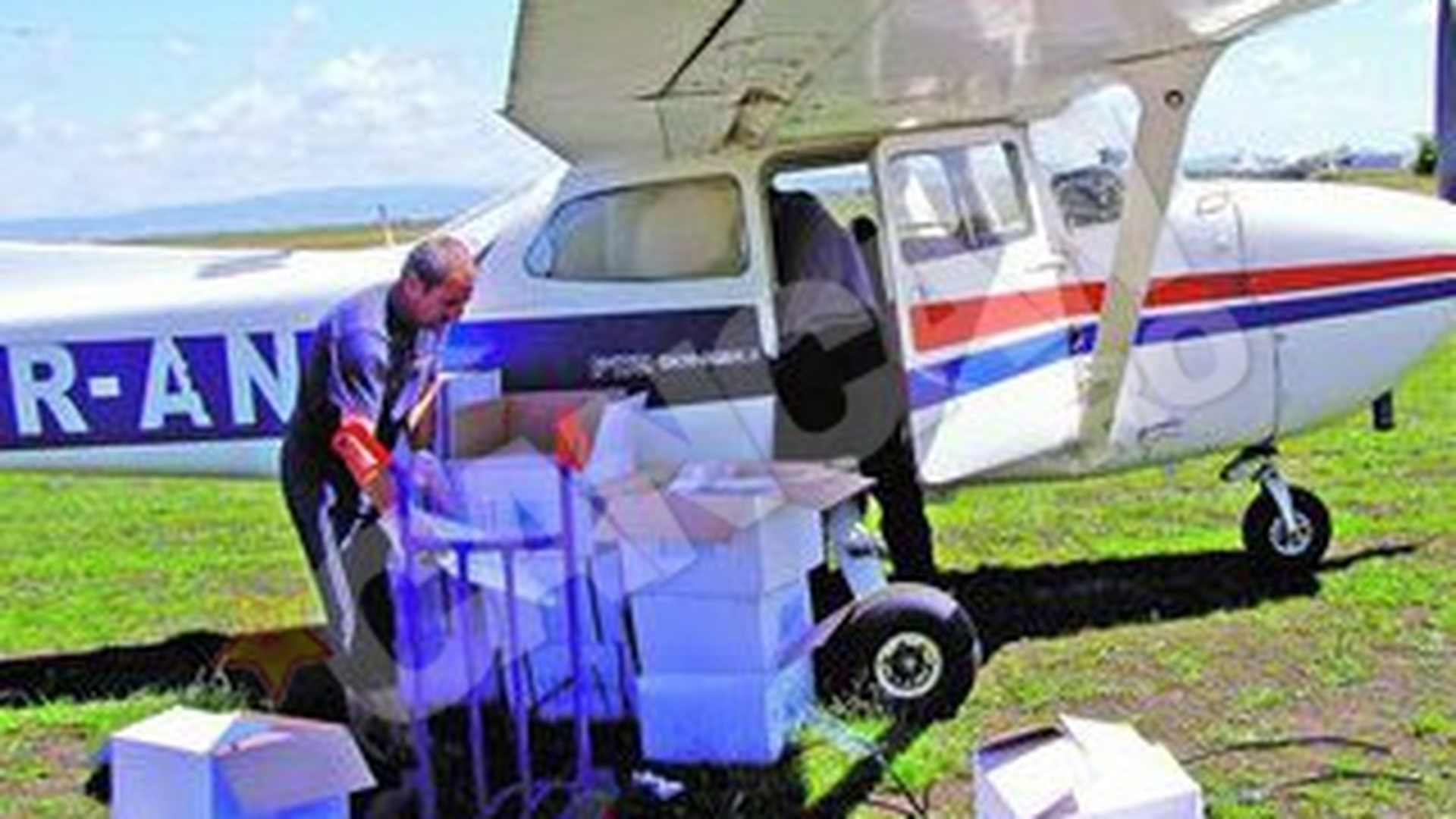 Vulpi vaccinate din avion!