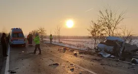 Galerie foto - poza 4