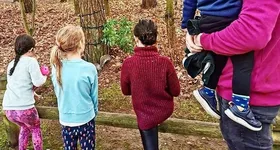 Galerie foto - poza 2