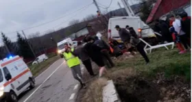 Galerie foto - poza 3