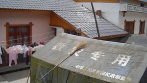 Un pusti din China a ramas blocat in spatiul dintre doua case! Pompierii au daramat un imobil sa-l scoata!