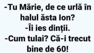 BANC | „Tu Mărie, de ce urlă, în halul ăsta, Ion?”