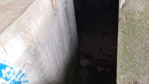 Agresiune și răpire în Olt! Un bărbat de 37 de ani a fost sechestrat în subsolul unui bloc din Corabia