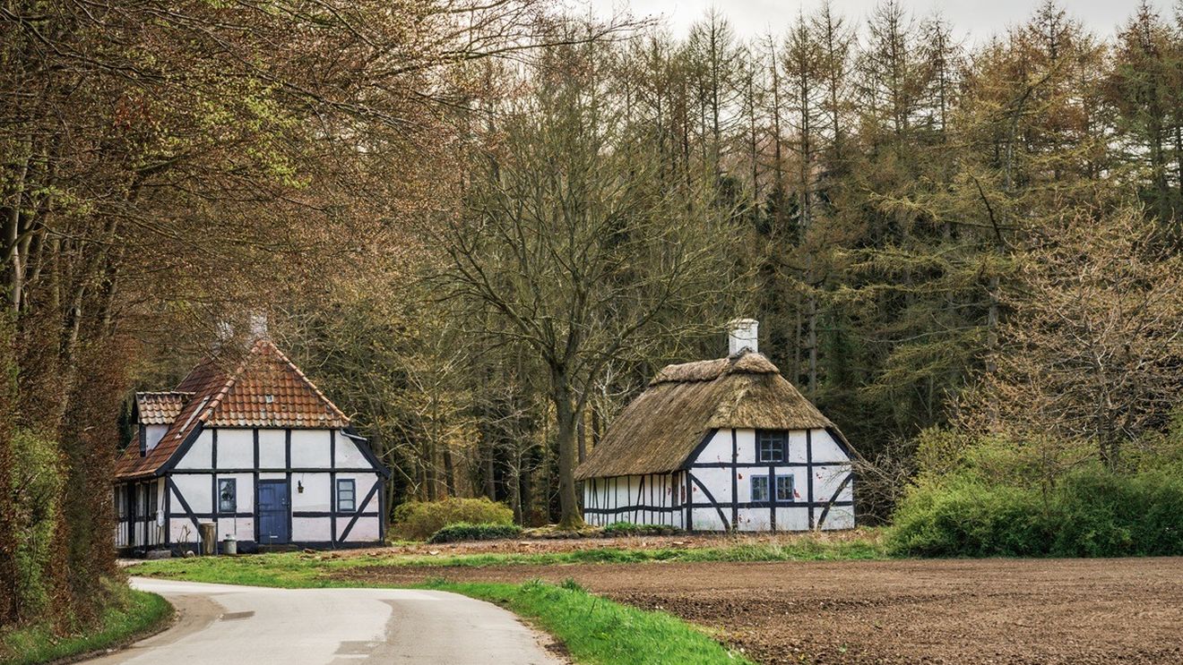 Ce a găsit un imigrant într-o casă pe care a plătit 3.550 de euro în Germania: „A fost unul dintre cele mai fericite momente..”