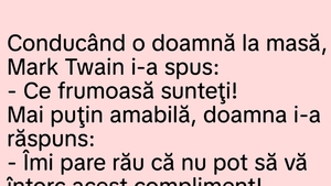 BANC | Mark Twain și doamna frumoasă
