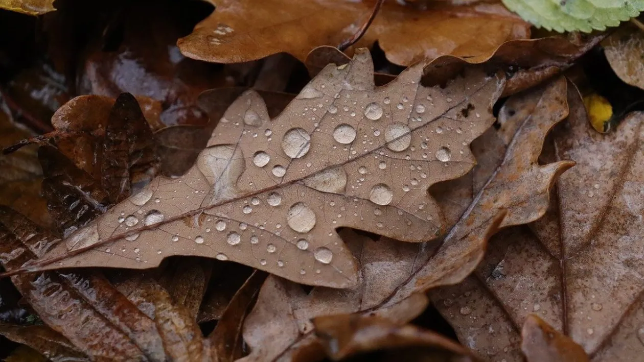 Meteo România. Ploi și ninsori în mai multe zone ale țării. Cum va fi vremea în București