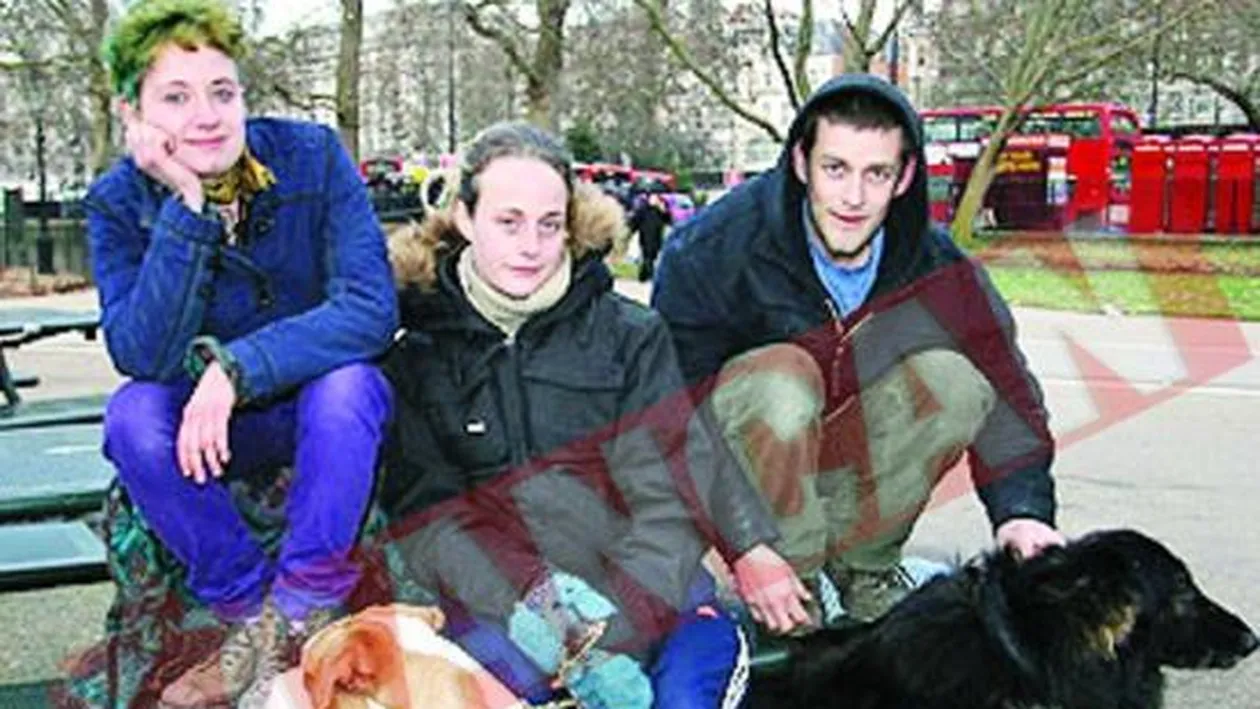 Cersetori in vila de 32 milioane ?