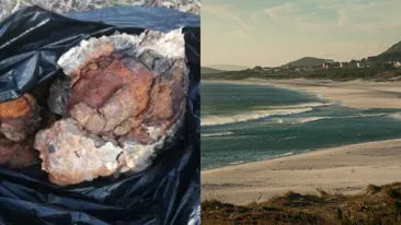 Șoc pentru o familie, după ce fetița lor a adus acasă o piatră de pe plajă. Când și-au dat seama ce era, de fapt, au alertat autoritățile