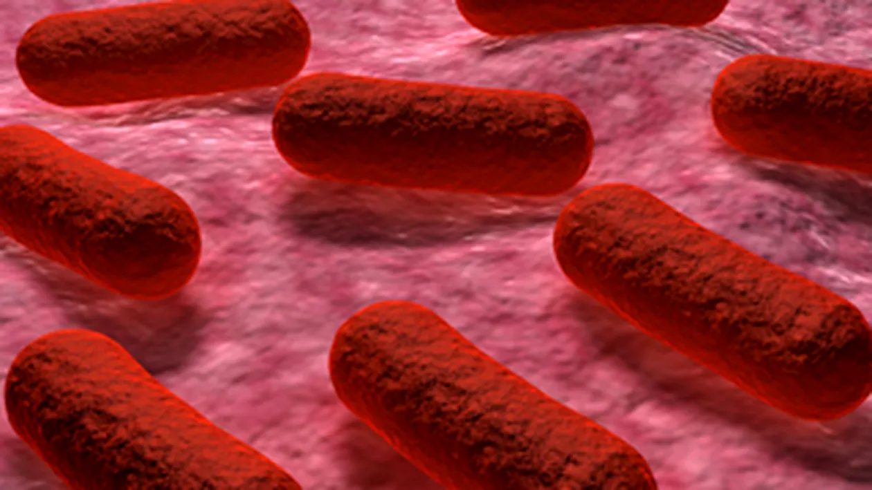 O femeie cu sindrom hemolitic si uremic generat de bacteria E.coli a murit in Franta