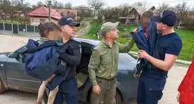 Galerie foto - poza 1