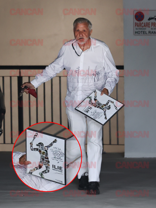Ilie Năstase și-a luat tabloul și a plecat
