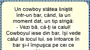 BANC | Un cowboy stătea liniștit într-un bar
