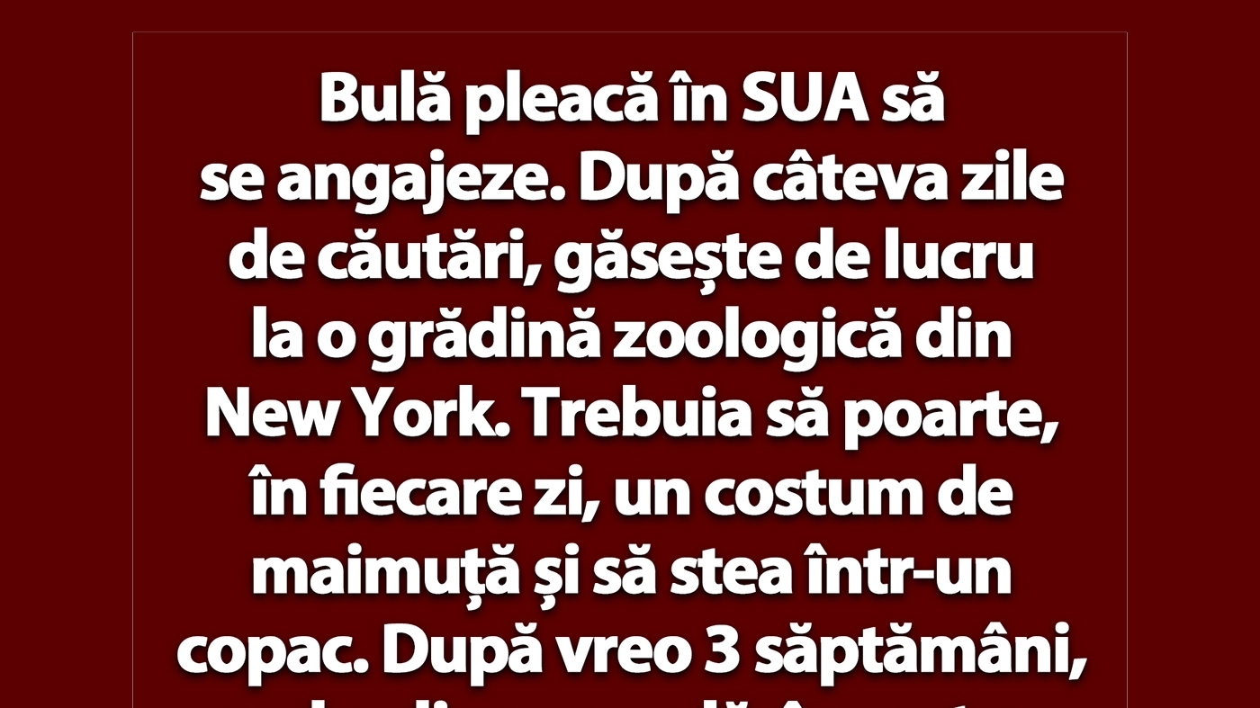 BANC | Bulă pleacă în SUA să se angajeze