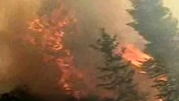 Doi morti, zeci de raniti si sute de oameni evacuati in urma incendiilor de vegetatie din Rusia
