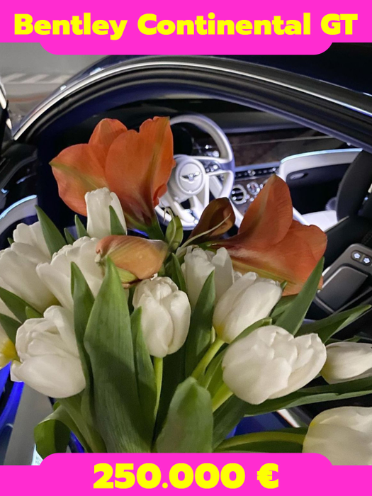 Maria Niculae cu al doilea Bentley