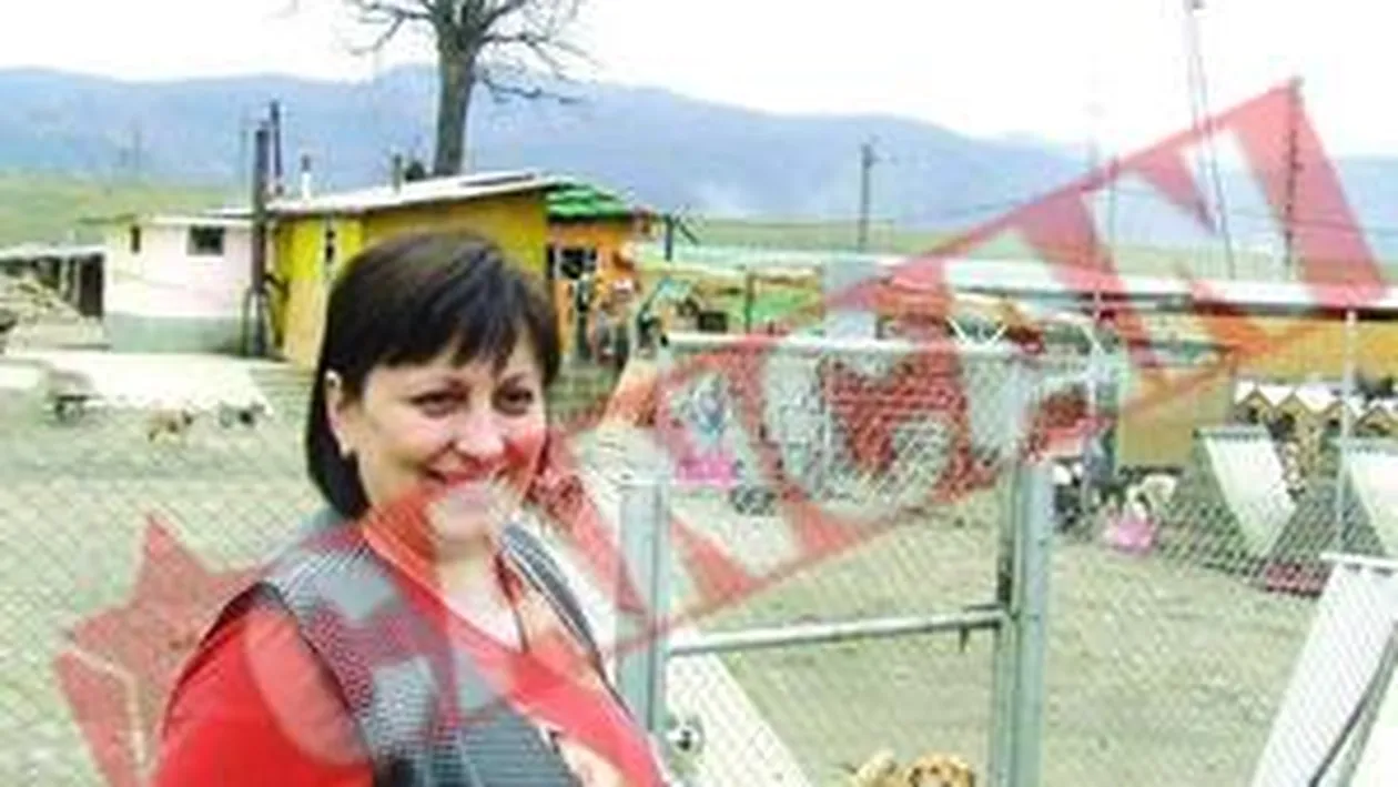 O moldoveanca ingrijeste 400 de catei si 50 de pisicute