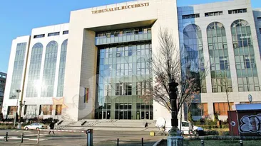 Un consilier din Olt si fratele acestuia, condamnat pentru evaziune fiscala, fac afaceri cu Tribunalul Bucuresti, Parchetul Capitalei si Primaria Sectorului 5! Milioane de euro din contracte cu statul