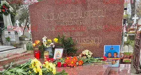 Galerie foto - poza 2